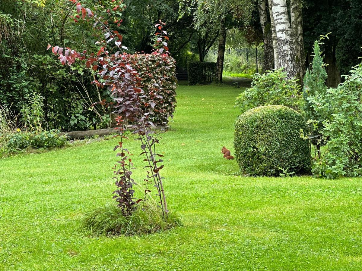 Hotel Steineweiher St. Vith Extérieur photo