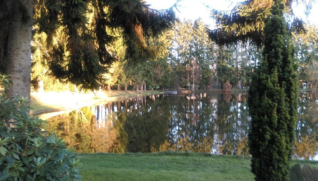 Hotel Steineweiher St. Vith Extérieur photo